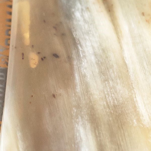 Straight Razor Prima African Cow Horn 5/8